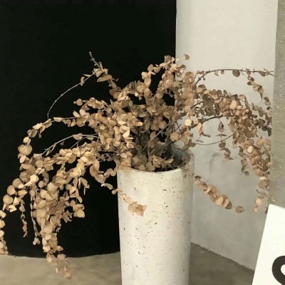 肃南FurryQQ群介绍